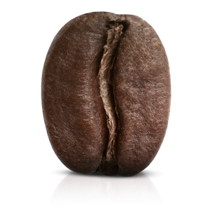 Medium-Dark