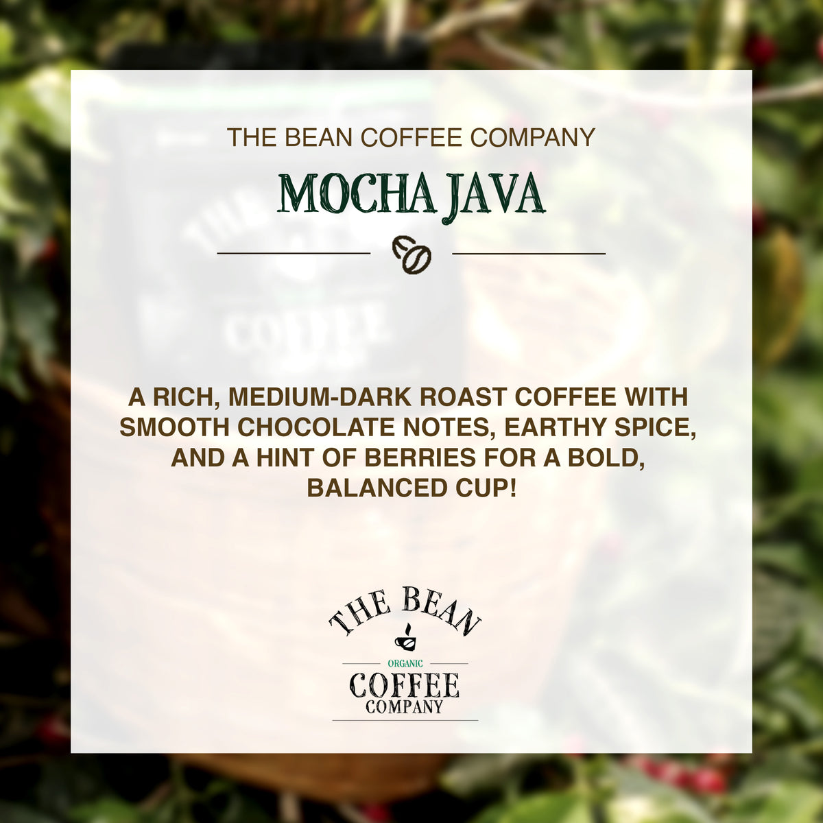 Organic Mocha Java Coffee