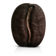 Dark