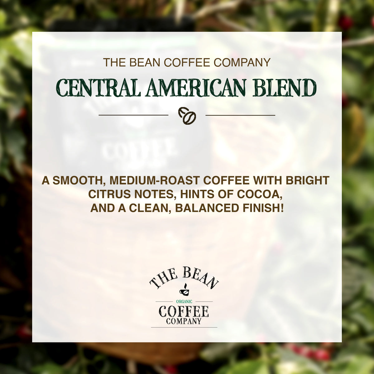 Organic Central America Blend Coffee