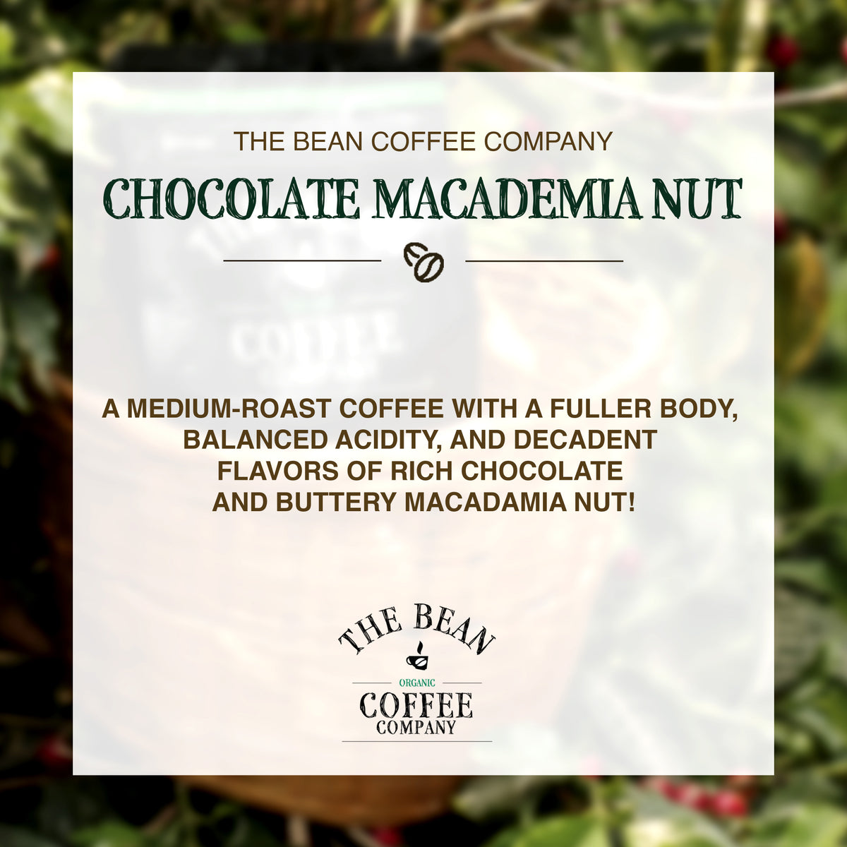 Organic Chocolate Macadamia Nut Coffee