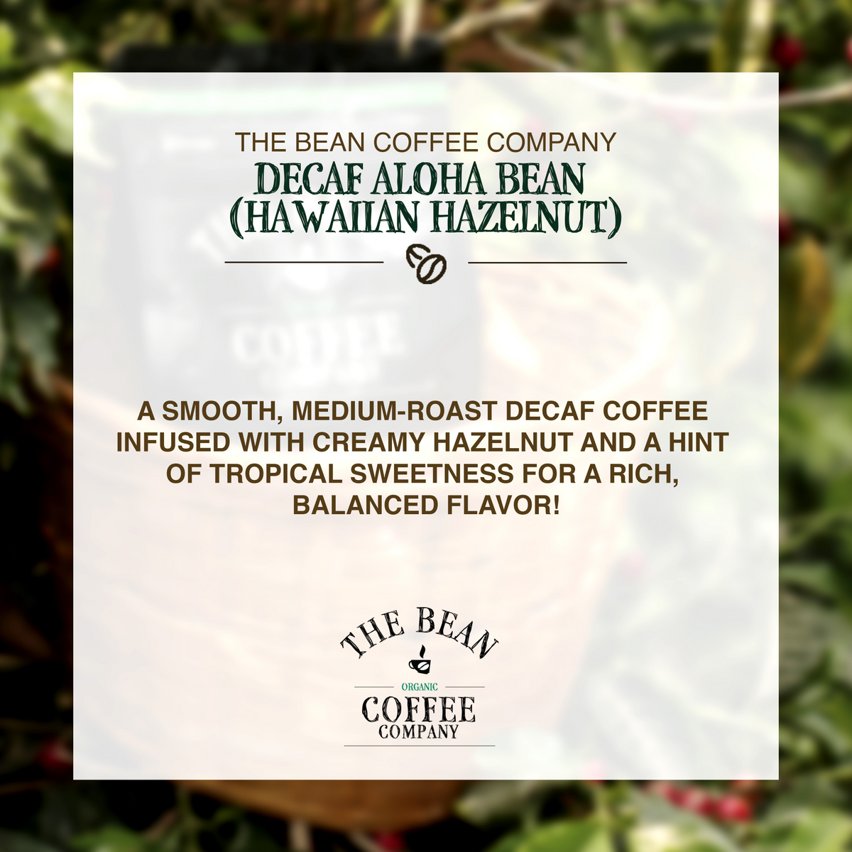 DECAF Organic Aloha Bean (Hawaiian Hazelnut)