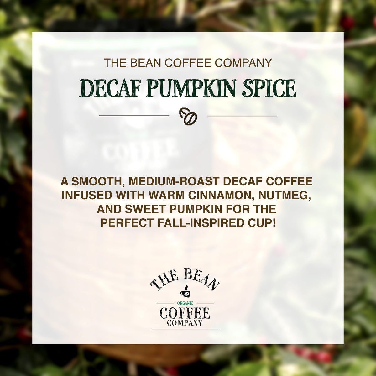 DECAF Organic Pumpkin Spice Flavored Coffee
