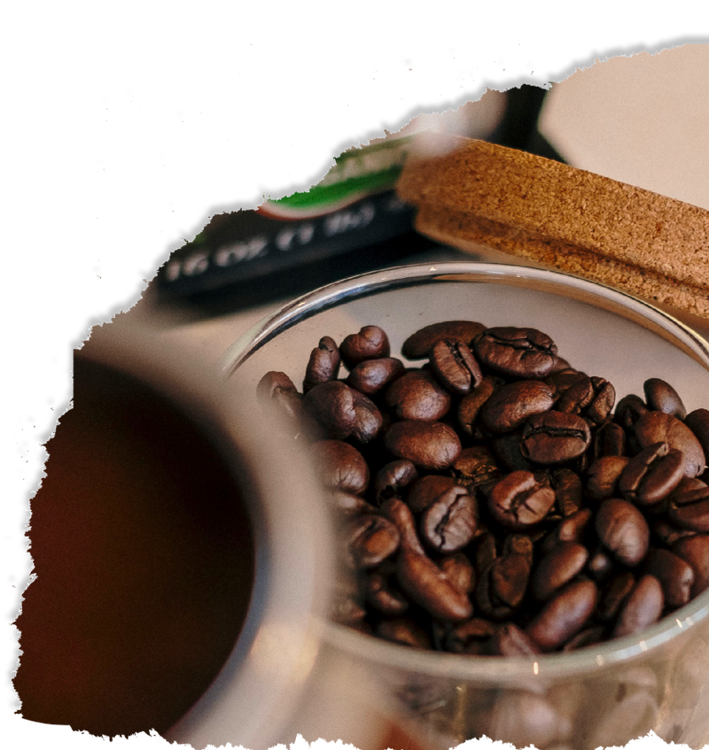 Organic Mocha Java Coffee - The Bean Coffee Company