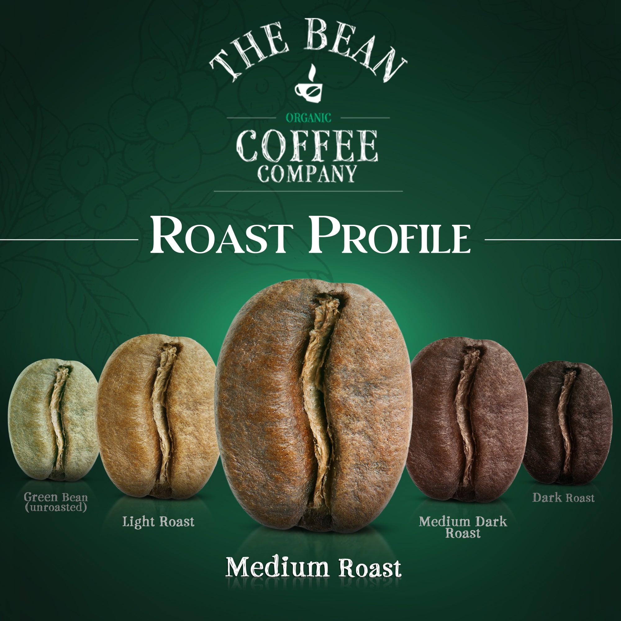 Organic Mocha Java Coffee - The Bean Coffee Company