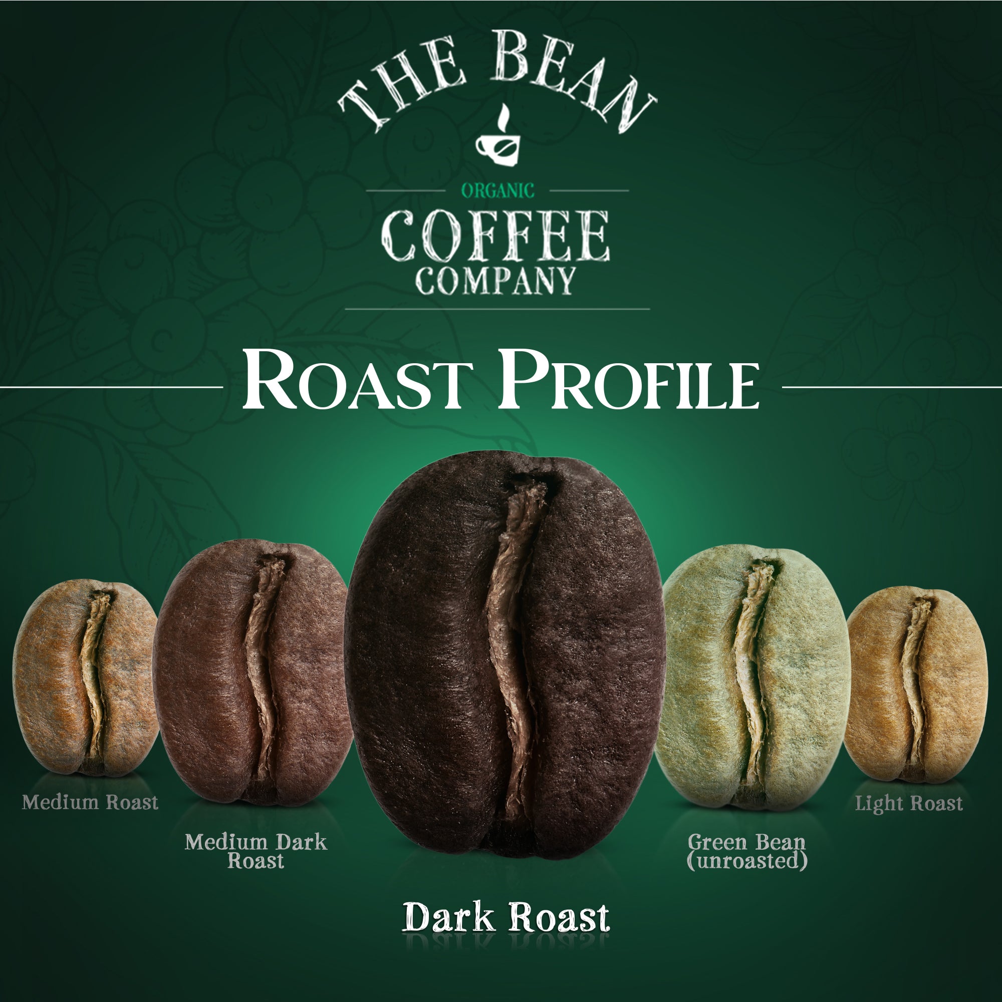 Organic Suzi's Power Bean Coffee