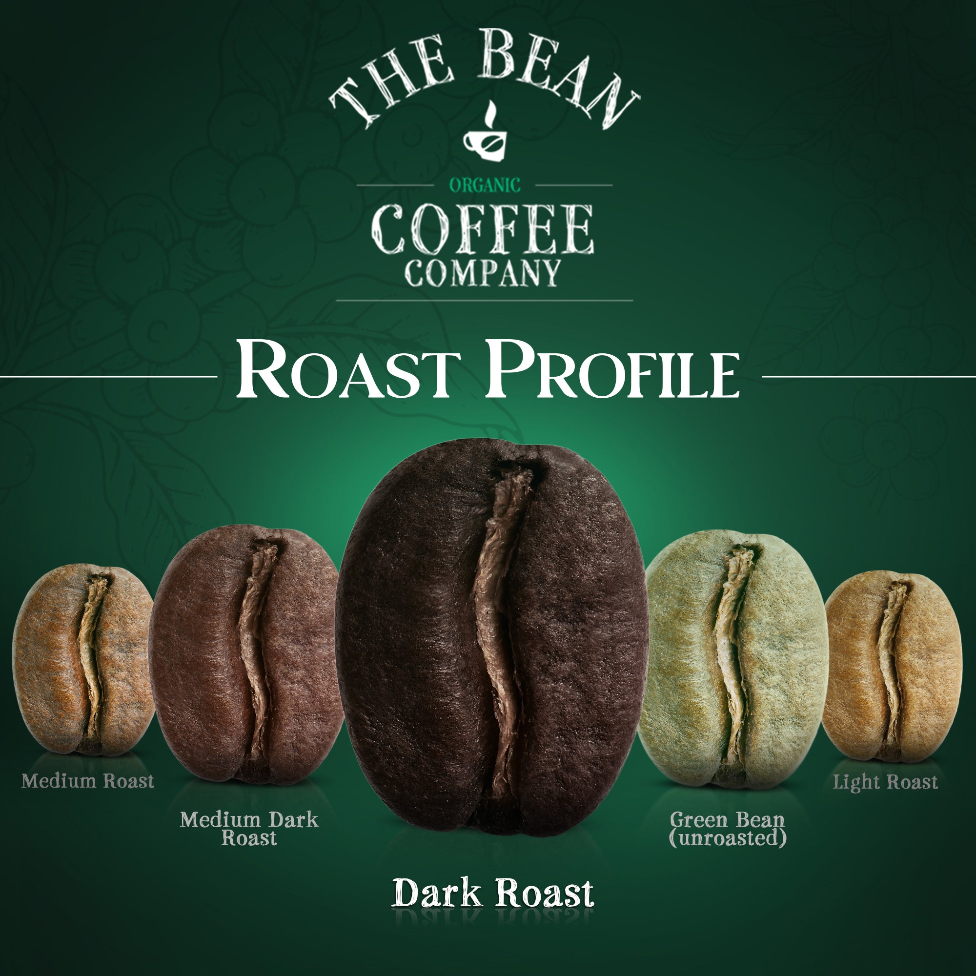 Organic Il Chicco ~ Traditional Italian Roast Coffee