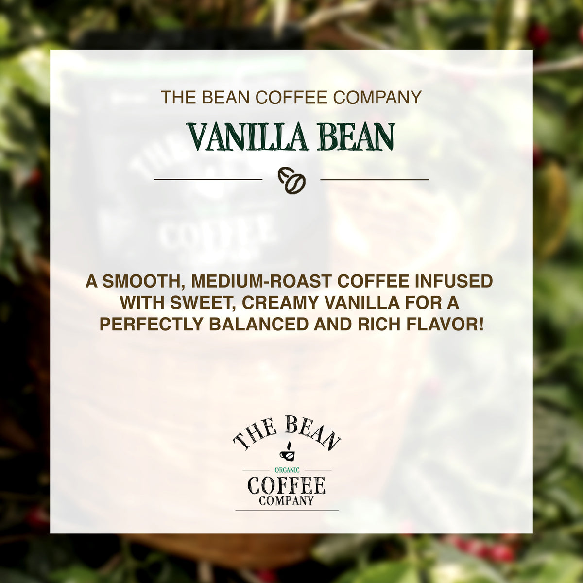 Organic Vanilla Bean Coffee