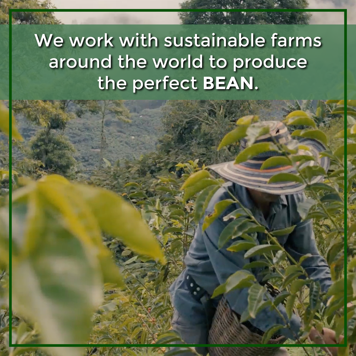 DECAF Organic Caramel Flavored Coffee