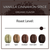 DECAF Organic Holiday Bean ~ Vanilla Cinnamon Spice Flavored Coffee